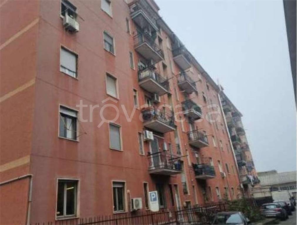 immagine annuncio 10 di 13