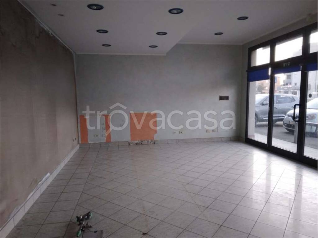 immagine annuncio 2 di 7