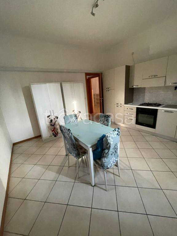 immagine annuncio 1 di 14