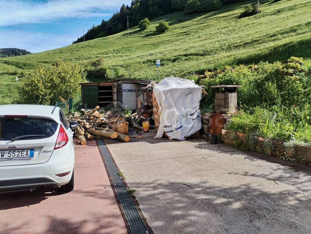 immagine annuncio 3 di 14