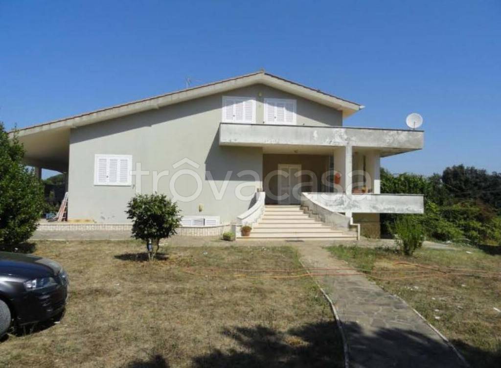 immagine annuncio 5 di 8