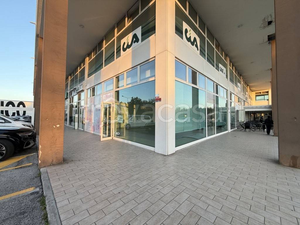 immagine annuncio 10 di 12