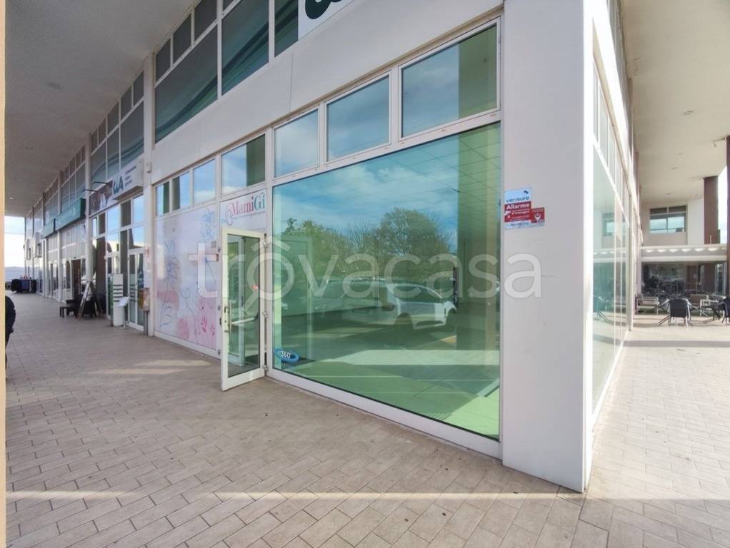 immagine annuncio 11 di 12