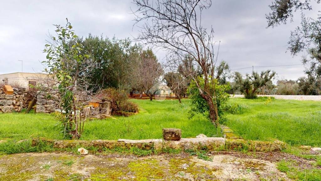 immagine annuncio 7 di 14