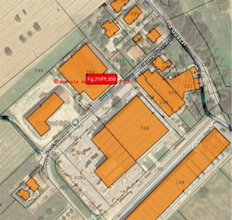 immagine annuncio 11 di 15