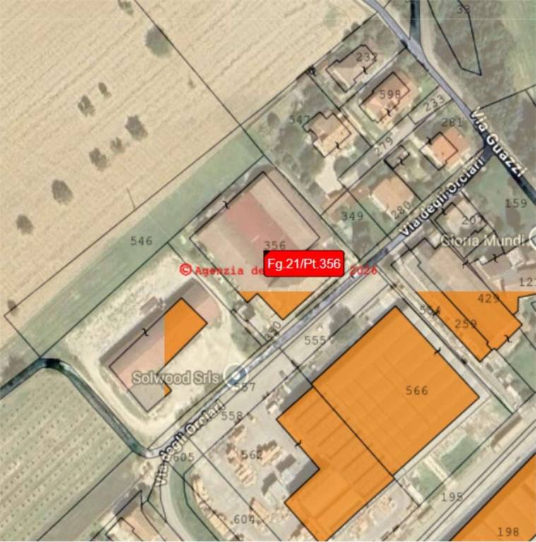 immagine annuncio 12 di 15