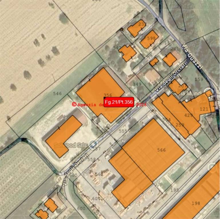 immagine annuncio 13 di 15