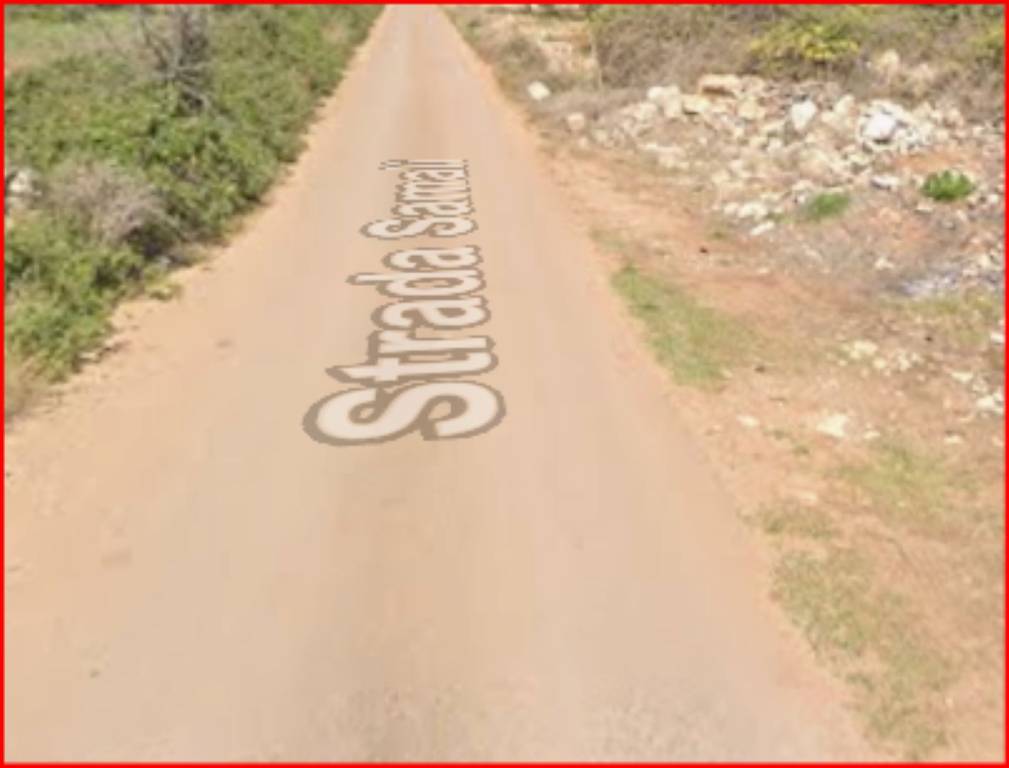 immagine annuncio 6 di 12