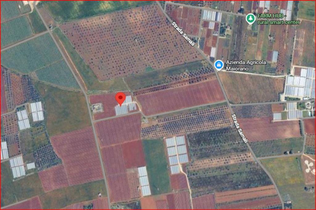 immagine annuncio 11 di 12