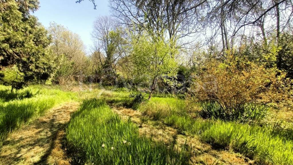 immagine annuncio 1 di 14