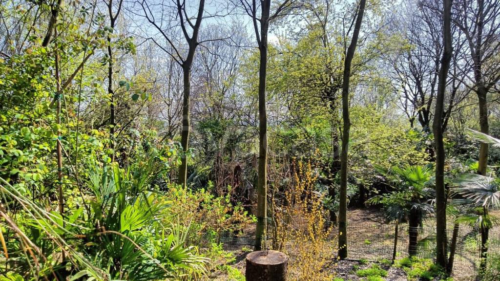 immagine annuncio 8 di 14