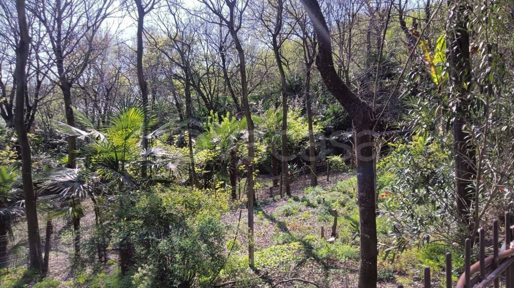 immagine annuncio 10 di 14