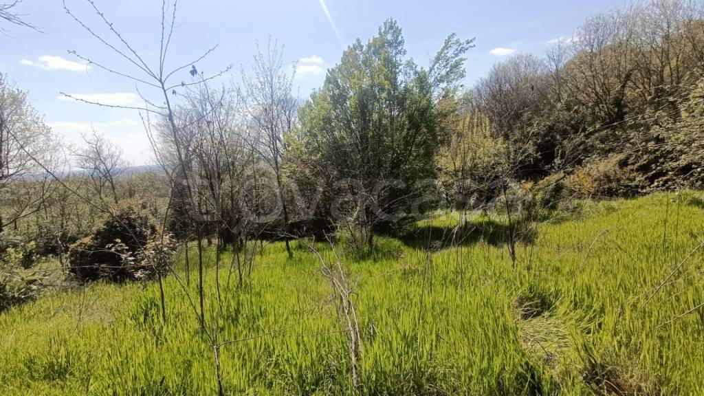 immagine annuncio 11 di 14