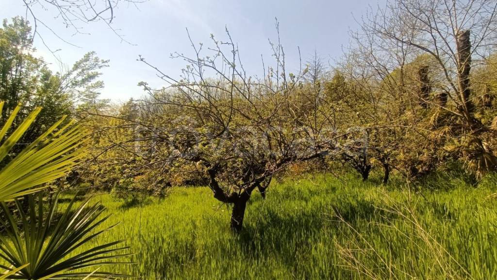 immagine annuncio 12 di 14