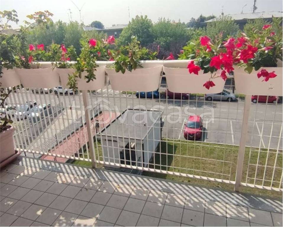 immagine annuncio 8 di 12