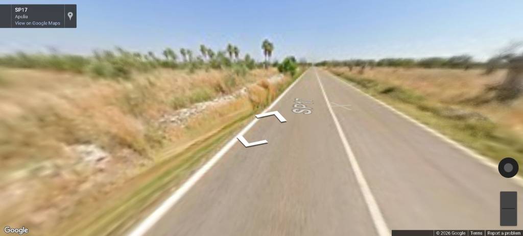 immagine annuncio 5 di 12