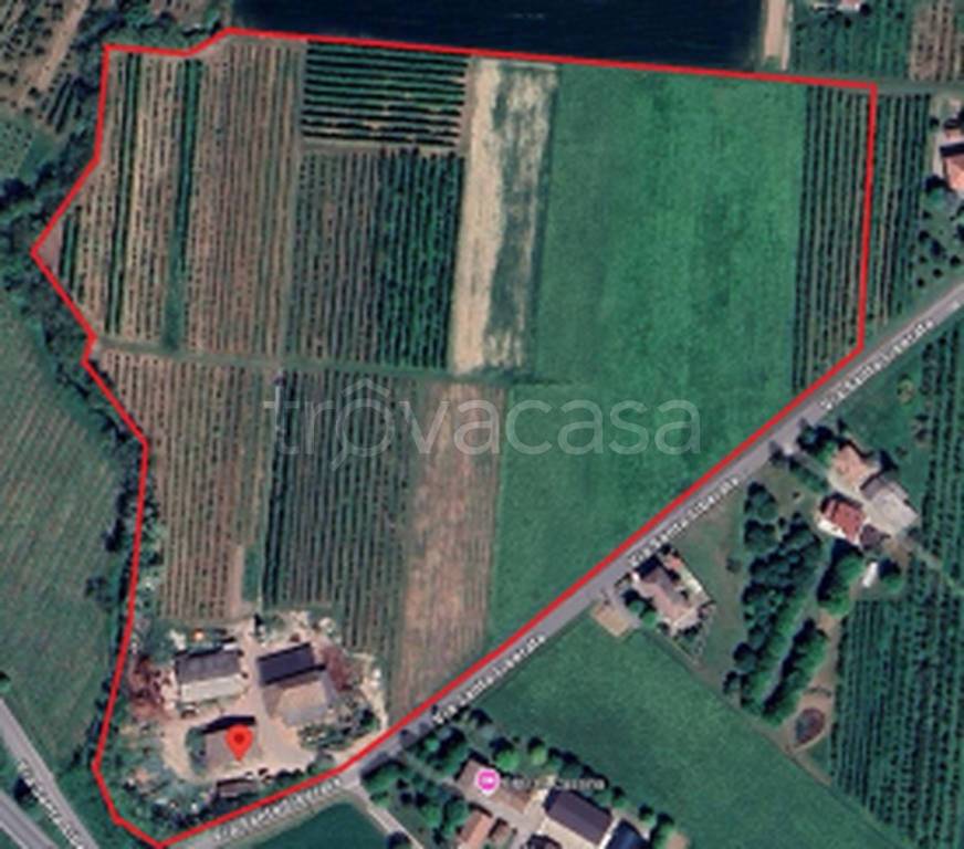 immagine annuncio 2 di 10