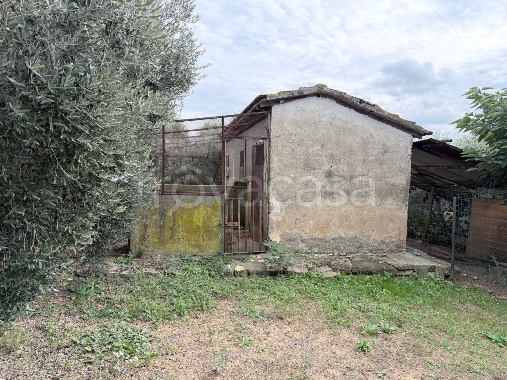 immagine annuncio 2 di 7