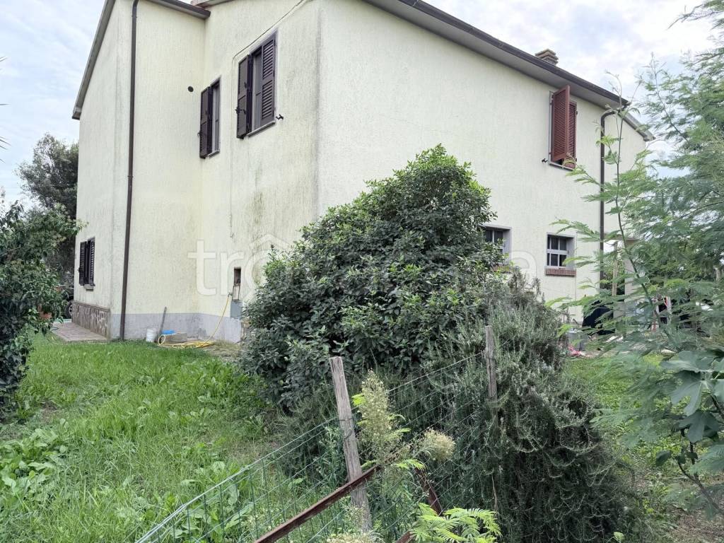 immagine annuncio 5 di 7