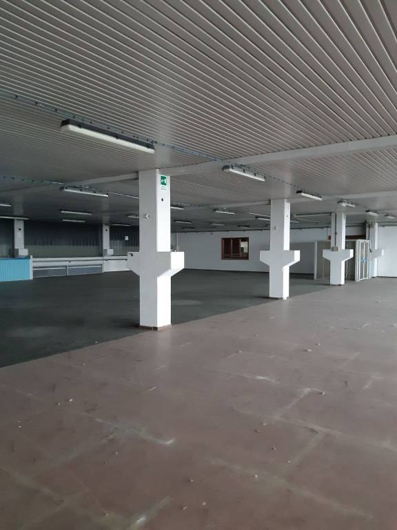 immagine annuncio 10 di 13