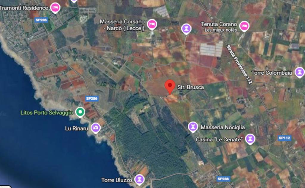 immagine annuncio 1 di 13