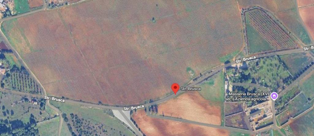 immagine annuncio 3 di 13