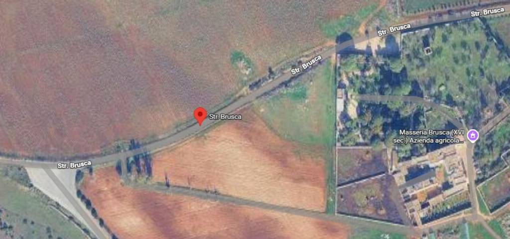 immagine annuncio 4 di 13