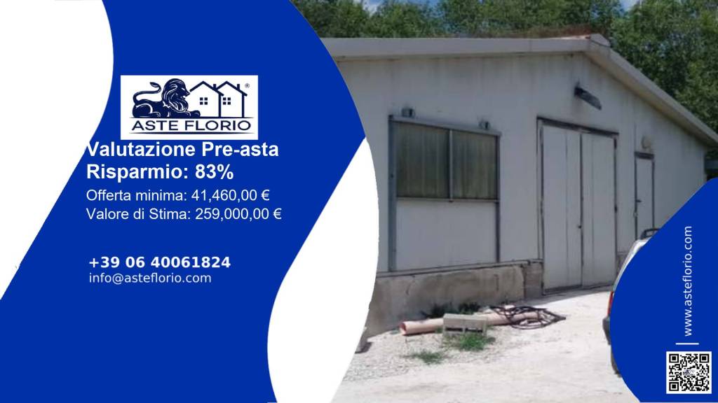 immagine annuncio 1 di 12