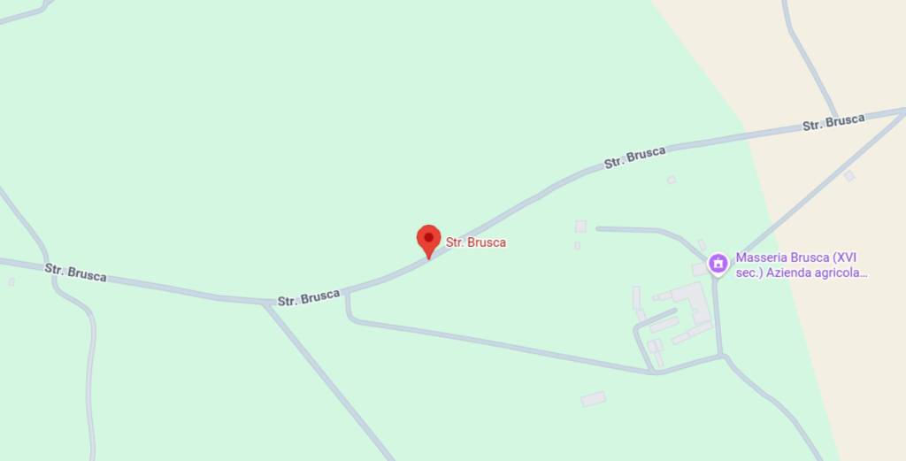 immagine annuncio 9 di 13