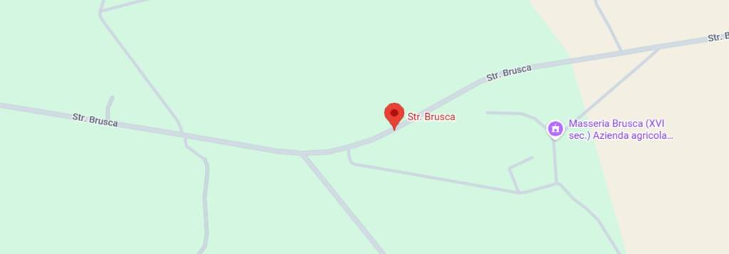 immagine annuncio 10 di 13