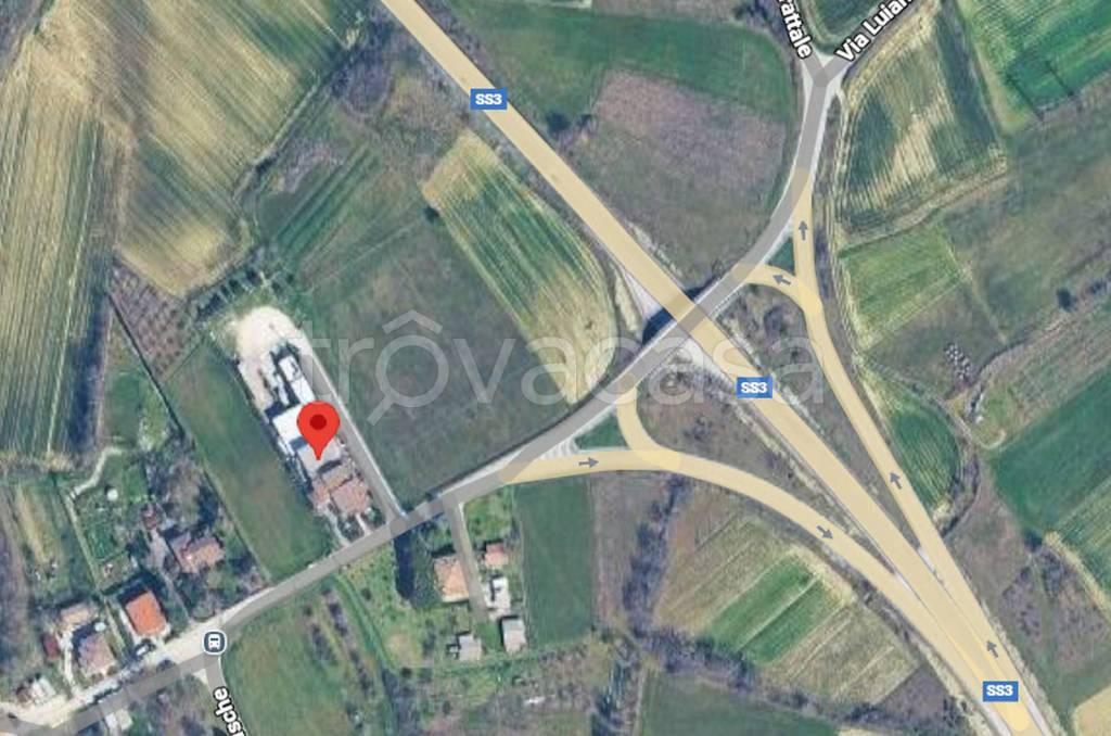 immagine annuncio 3 di 11