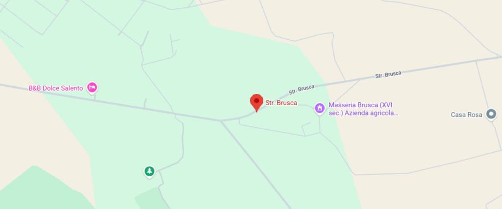 immagine annuncio 11 di 13