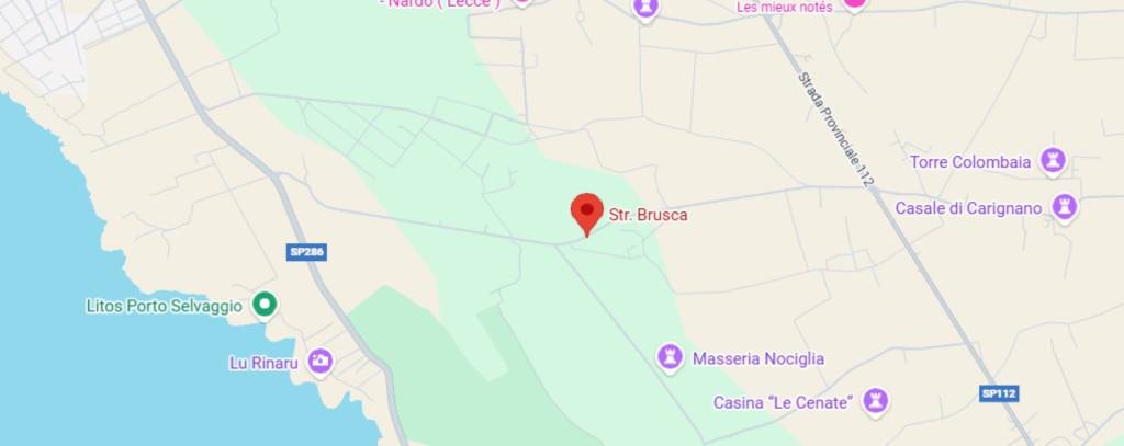 immagine annuncio 12 di 13