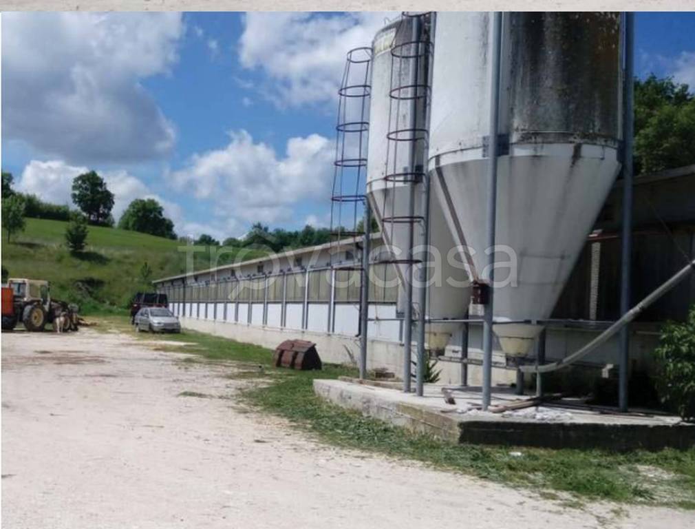 immagine annuncio 4 di 11