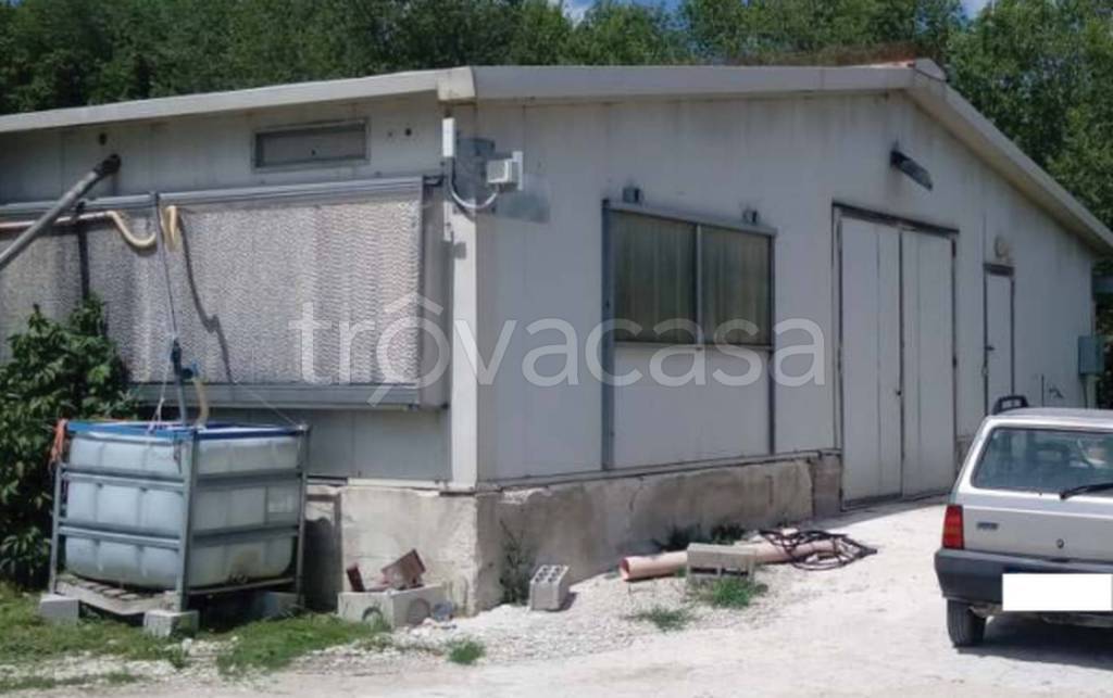 immagine annuncio 8 di 11