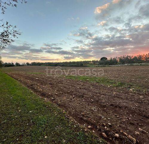 immagine annuncio 7 di 14