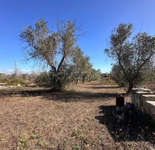 immagine annuncio 6 di 12