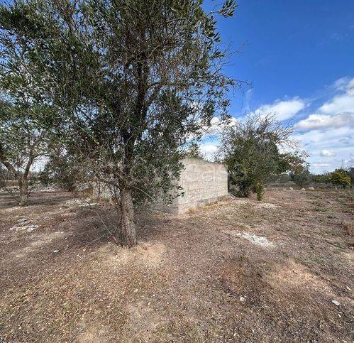 immagine annuncio 5 di 7