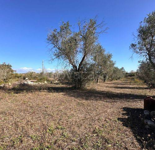 immagine annuncio 7 di 12