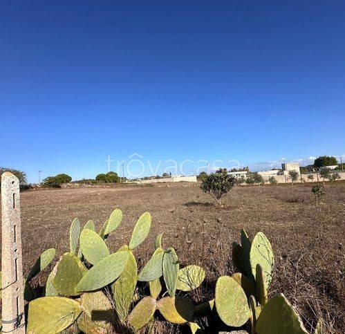 immagine annuncio 9 di 12