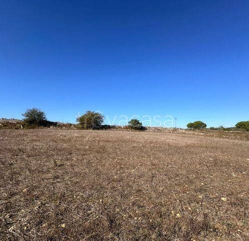 immagine annuncio 10 di 12