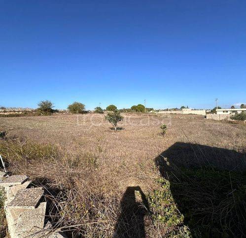 immagine annuncio 11 di 12