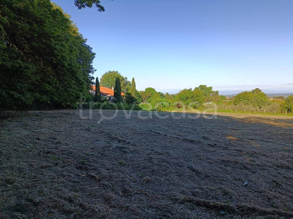 immagine annuncio 2 di 8