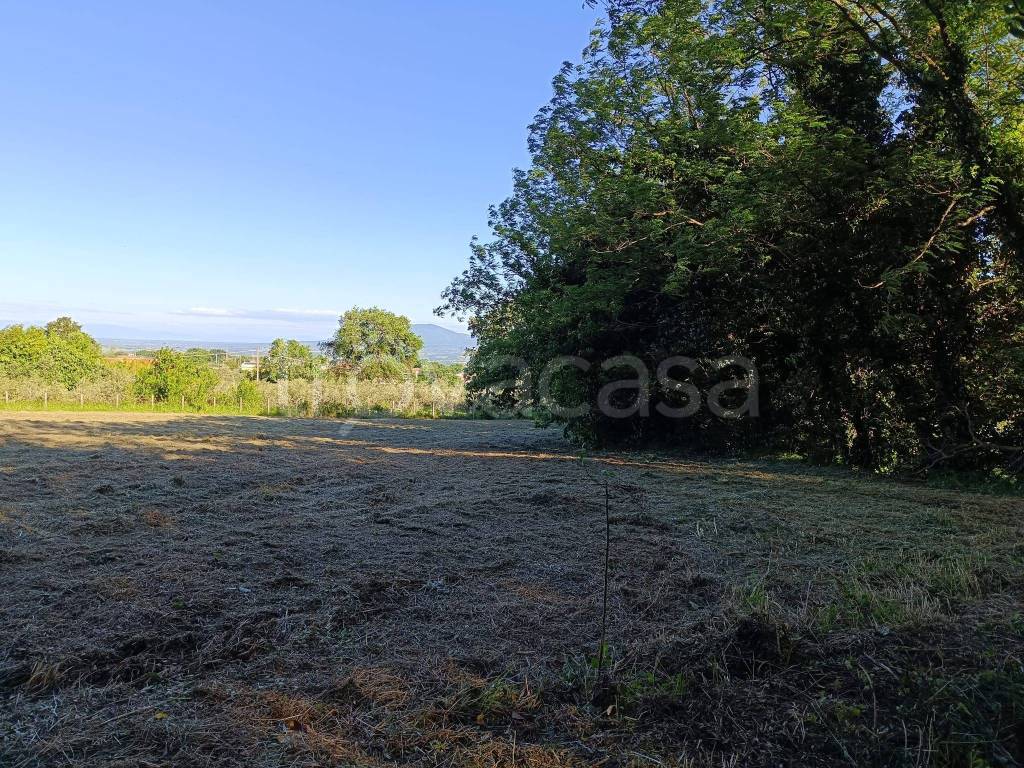 immagine annuncio 3 di 8