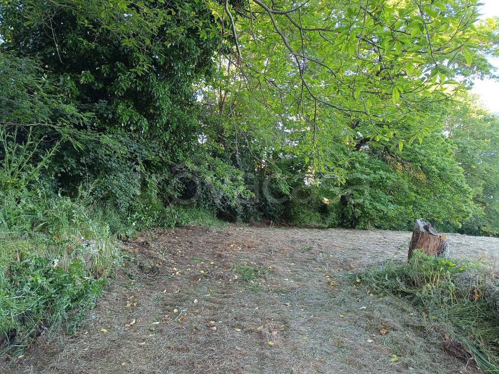 immagine annuncio 4 di 8