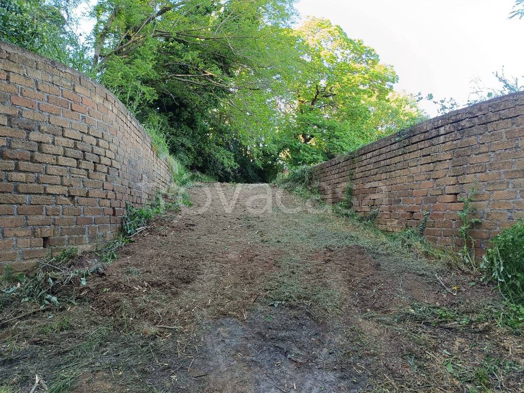 immagine annuncio 6 di 8