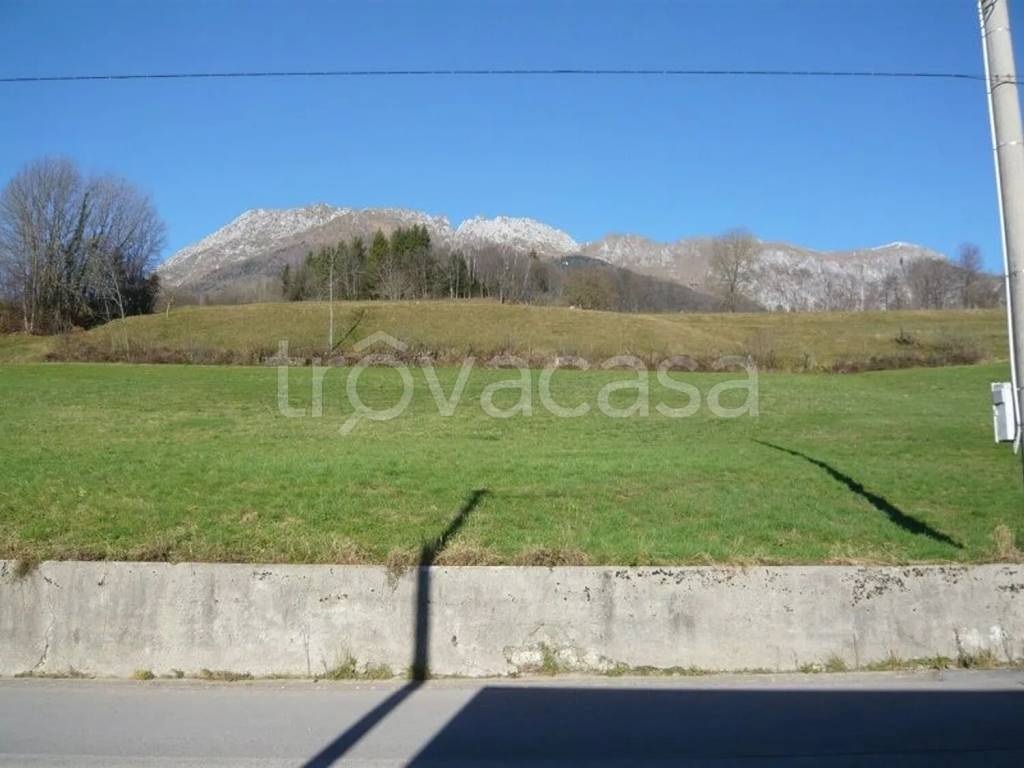 immagine annuncio 4 di 6