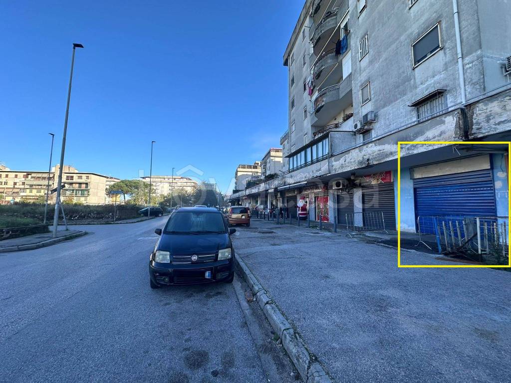 immagine annuncio 2 di 14