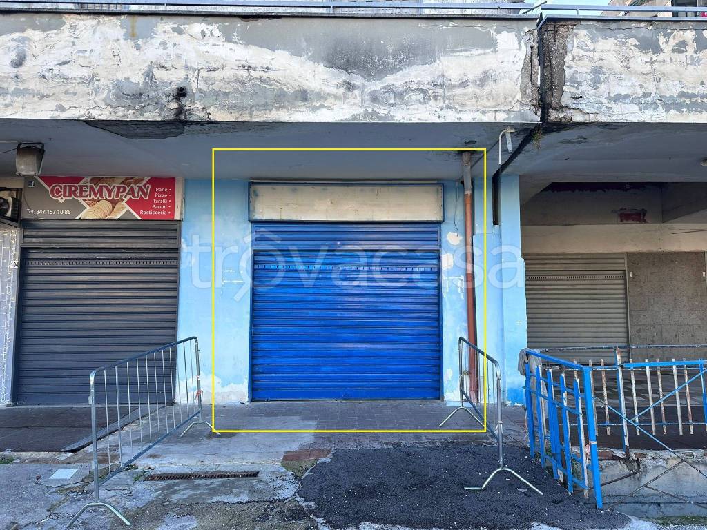 immagine annuncio 4 di 14