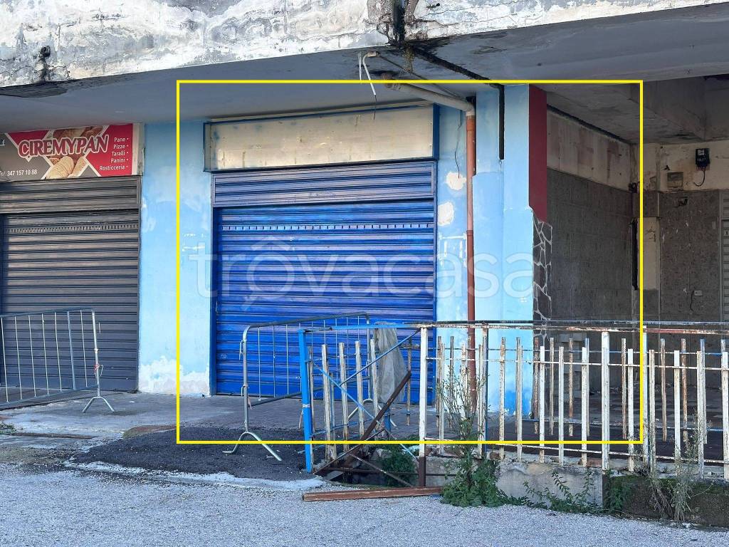 immagine annuncio 5 di 14